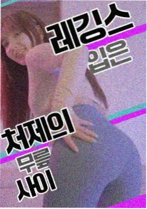 洛丽塔完整版 原著对照手册更新资讯配图